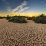Giornata mondiale contro la desertificazione e siccità: la necessità di un nuovo paradigma